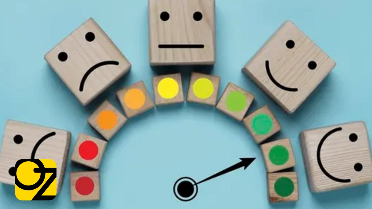 صدای مشتری: تعریف و روش های اجرای برنامه